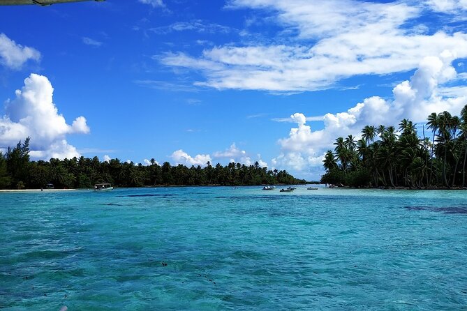 1/2 day Tahaa coral garden - departure Raiatea / ideal for cruise passengers - The short walk to the coral channel