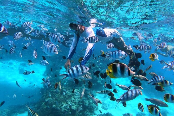 1/2 day Tahaa coral garden - departure Raiatea / ideal for cruise passengers - Floating through Tahaa’s famous coral garden