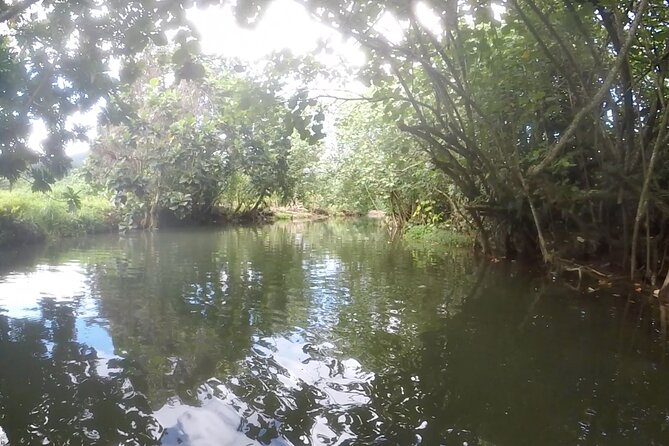 1/2 day "Treasures of Raiatea" by boat - ideal for cruise passengers - Following the Faaroa River inland