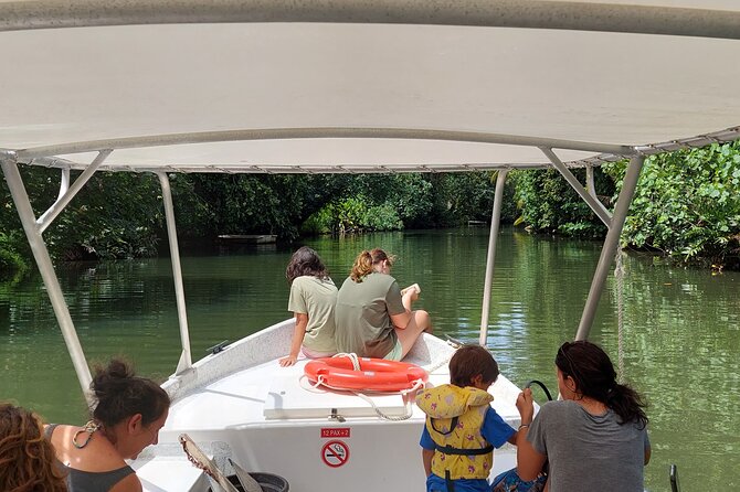 1/2 day "Treasures of Raiatea" by boat - ideal for cruise passengers - Learning how Raiatea grows black pearls