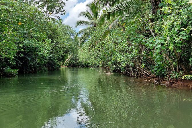 1/2 day "Treasures of Raiatea" by boat - ideal for cruise passengers - Guide quality can shape the whole outing
