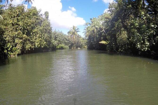 1/2 day "Treasures of Raiatea" by boat - ideal for cruise passengers - Rain, wind, and the limits of an open boat
