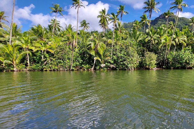 1/2 day "Treasures of Raiatea" by boat - ideal for cruise passengers - Cruising toward Fa’aroa Bay