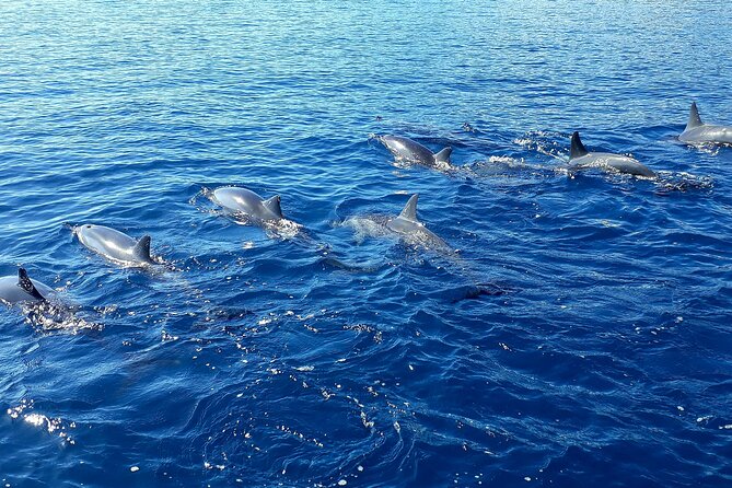 1-hour jet ski excursion in Tahiti - What you can see from the water