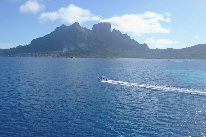 2 Dives in the morning for certified divers in Bora Bora - The outer reef, sharks, coral, and current