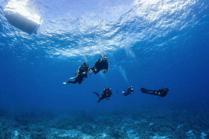 2 Dives in the morning for certified divers in Bora Bora - How the small group changes the experience