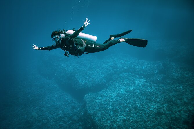 2 Dives in the morning for certified divers in Bora Bora - Who should book this morning?