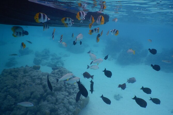 2 hours discovery tour of Moorea by Jet Ski - The First Two Hours: Moorea’s Lagoon by Jet Ski
