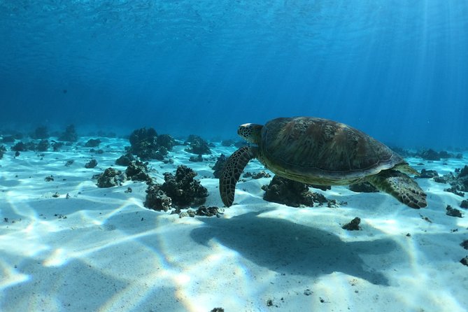 2 hours discovery tour of Moorea by Jet Ski - What the $114.18 Price Gets You