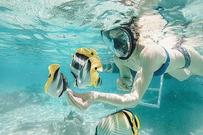 3-hour Lagoon Snorkeling Tour - Shared Tour - Key points to know before you book
