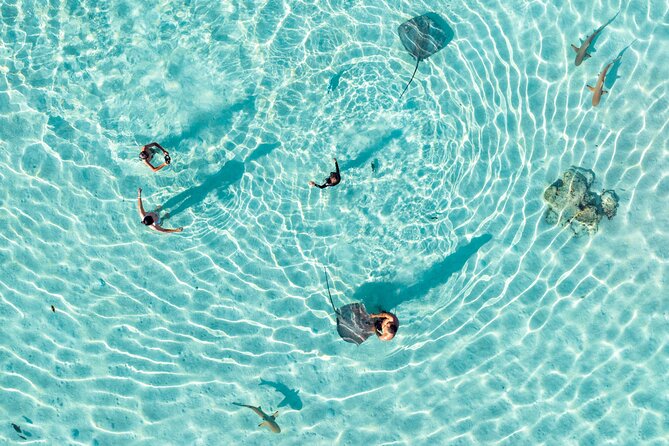 3-Hour Snorkeling Tour - Key points at a glance