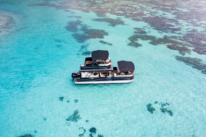 3-Hour Snorkeling Tour - Who should book this Moorea snorkeling trip?