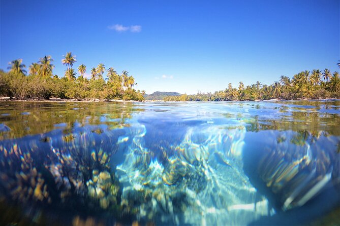 3H Adventure in JET SKI Snorkeling and Tahaa Lagoon - The Coral Garden and its short drift snorkel