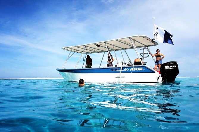 3h dolphin and snorkeling tour in a wild lagoon with Mobydick - Weather, minimum numbers, and cancellation risks