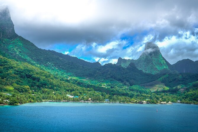 4 Hour Private Humpback Whales Encounter in Moorea - Searching Moorea’s coast for humpback whales