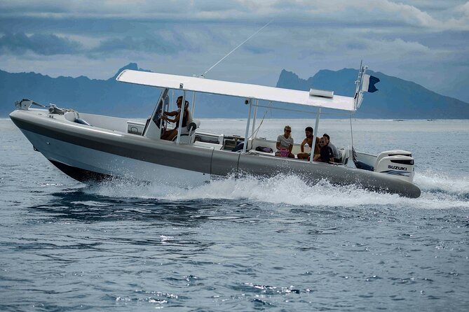 4 Hours of Humpback Whale Watching in Tahiti - The guides make a real difference