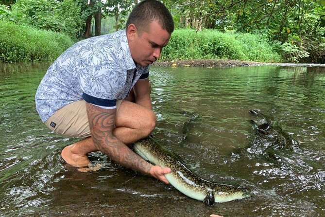 4x4 Moorea Safari Tours : Private tours - Why this 3.5-hour Moorea tour works well