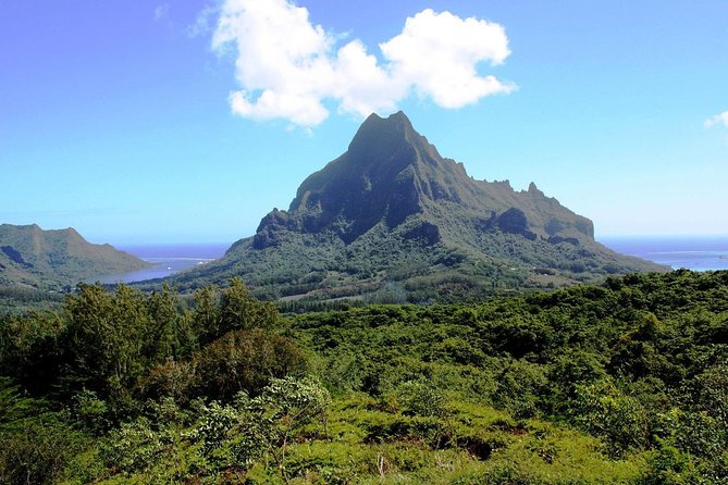 4x4 Moorea Safari Tours : With Hotel transfers - Eels, rivers, temples, and the less polished side of Moorea