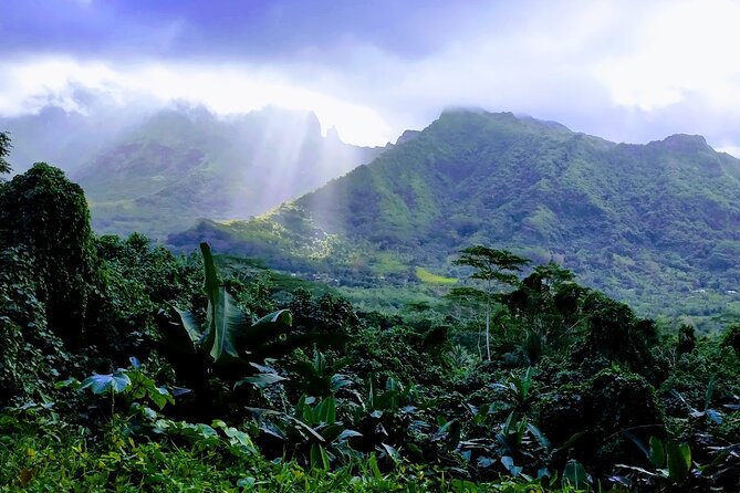 4x4 Tour – Culture, Crafts and Agritourism in Raiatea - Tahitian pearls and the work behind them