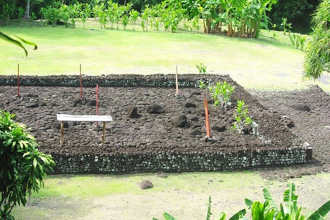 5 Hours Tahiti Island Tour - West and East Coast - Why this five-hour island loop works