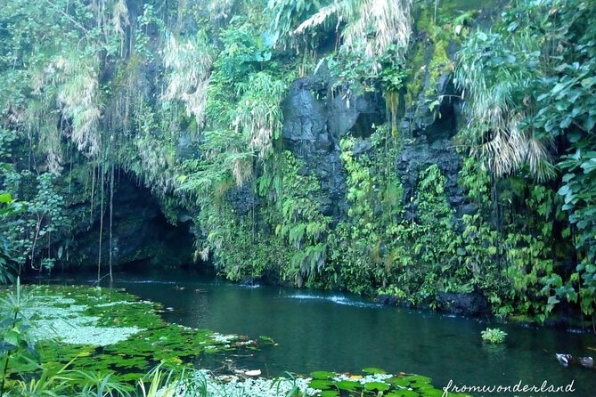 5 Hours Tahiti Island Tour - West and East Coast - Vaipahi Water Gardens, plants and a waterfall