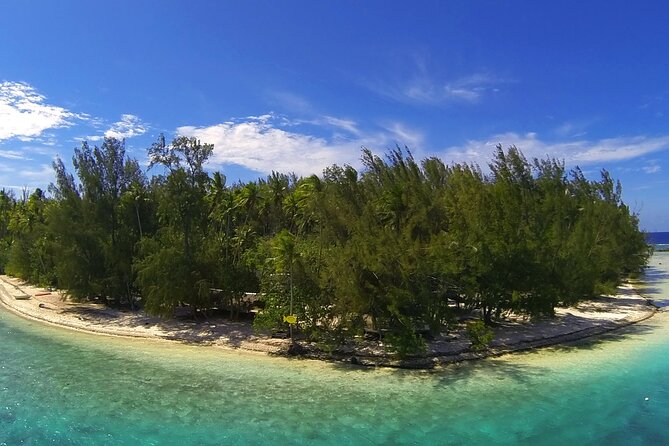 6 Hour Private Boat Activity with Snorkeling & Lunch - Fruit, cold drinks, and a pause between swims