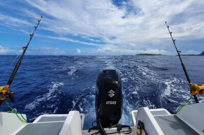 A Day of Big Game Fishing in a small group