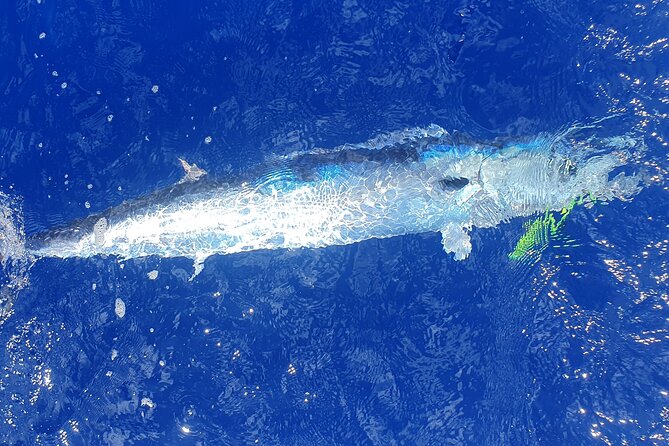 A Day of Big Game Fishing in a small group - Who will enjoy this charter most?