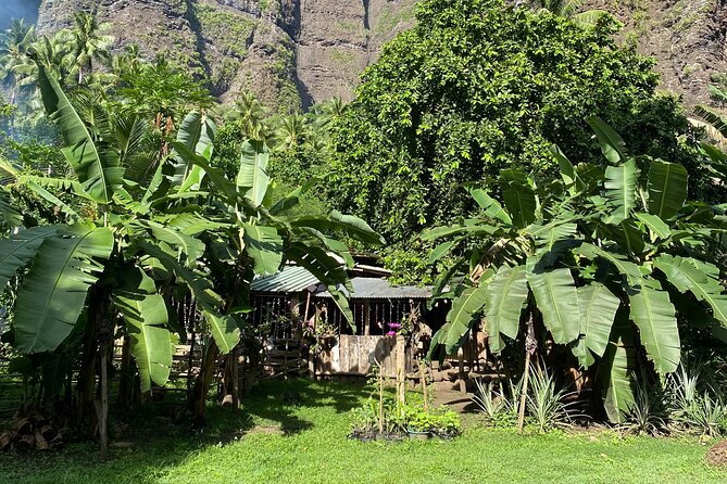 Adventurous Escape to Hakaui Valley - The 3.5-hour walk to Vaipo Waterfall
