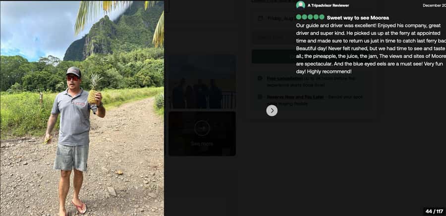 Albert Tours Excursion Safari - Moorea Safari tours&pick up - Belvedere Lookout and Mount Rotui