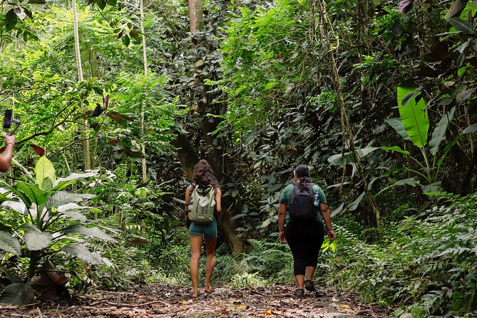 AOA Polynesian Forests - Hiking Sanctuary Biodiversity Tahiti - Key points to know before booking