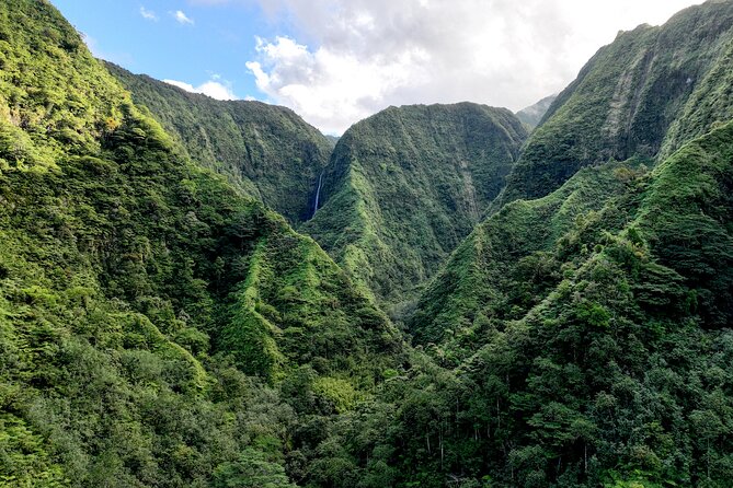 AOA Polynesian Forests - Hiking Sanctuary Biodiversity Tahiti - Following the bamboo forest trail