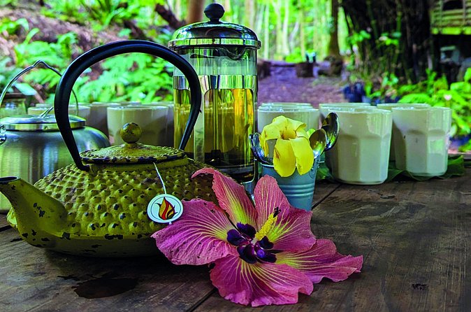 AOA Polynesian Forests - Hiking Sanctuary Biodiversity Tahiti - Price, transport, and practical value