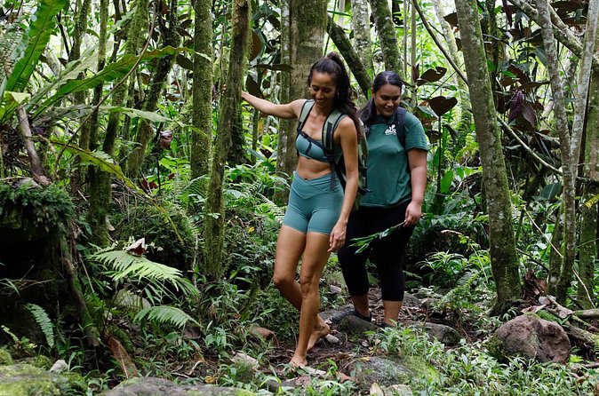 AOA Polynesian Forests - Hiking Sanctuary Biodiversity Tahiti - Who will enjoy AOA Polynesian Forests most