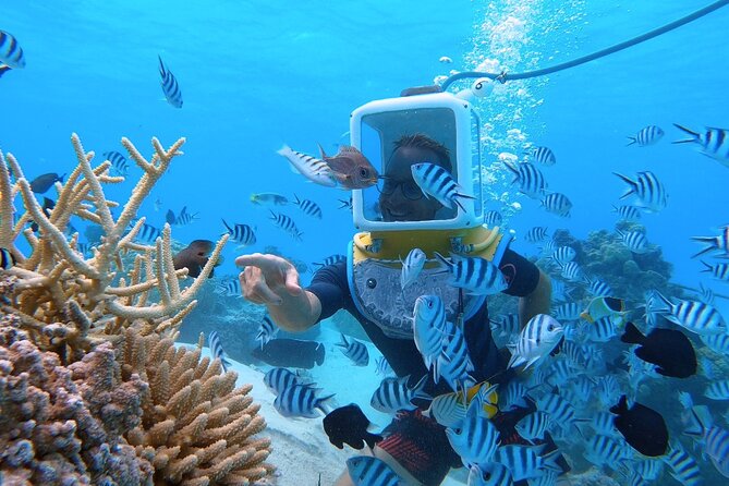 Aqua Safari Introductory Helmet Dive (Underwater Walk) - The briefing and helmet setup
