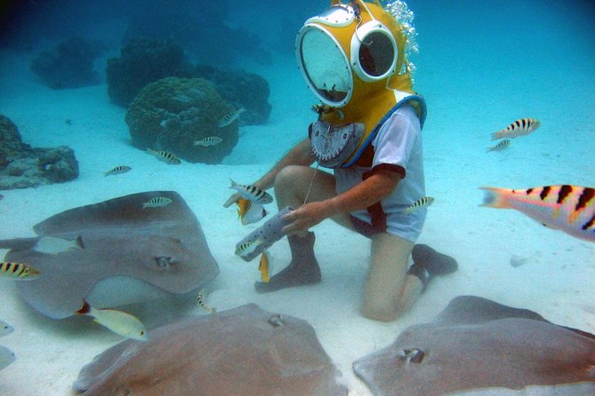 Aquablue Moorea - Meeting Fish and Stingrays on the Seabed