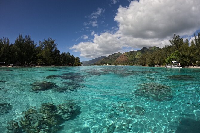 Aquablue Moorea - Who Will Enjoy Aquablue Moorea Most