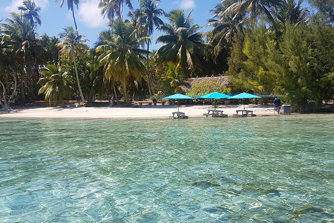 Authentic Polynesian Experience - Music, coconut skills, and island humor