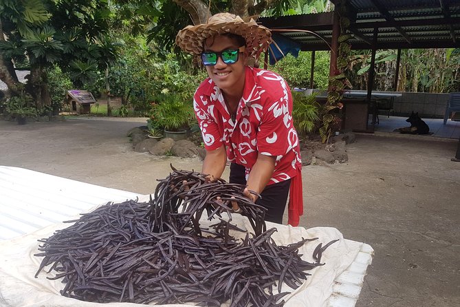 Authentic Polynesian Experience - Who will enjoy this Tahaa day trip