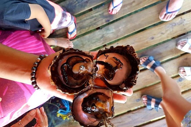 Authentic Polynesian Experience - The coral garden drift snorkel