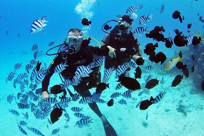 Baptism diving in the turquoise waters of Tahiti - Why This Tahiti Baptism Works for Beginners