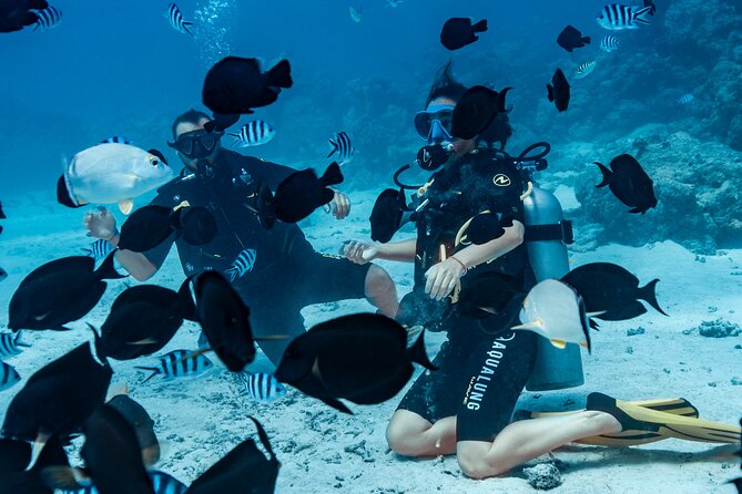 Baptism diving in the turquoise waters of Tahiti - Who Should Book This Experience?