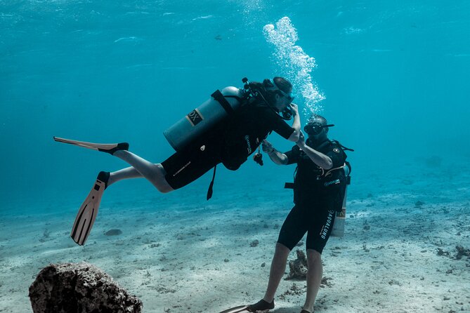 Baptism diving in the turquoise waters of Tahiti - Meeting Tahiti’s Fish at Close Range