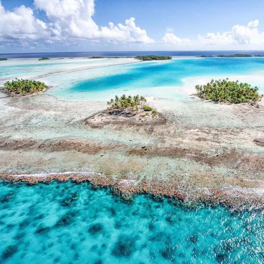 Blue Lagoon Eco-Tour, Avatoru Pass Snorkeling, Secret Green Lagoon - Shark Bay and the first look at marine life