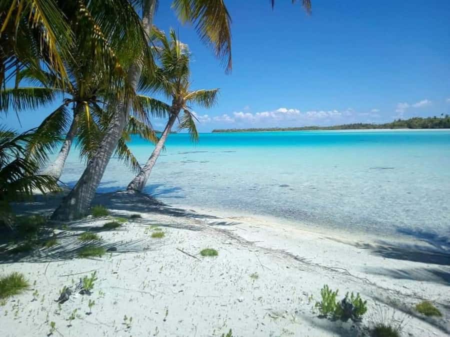 Blue Lagoon Eco-Tour, Avatoru Pass Snorkeling, Secret Green Lagoon - The eco walk through the Blue Lagoon