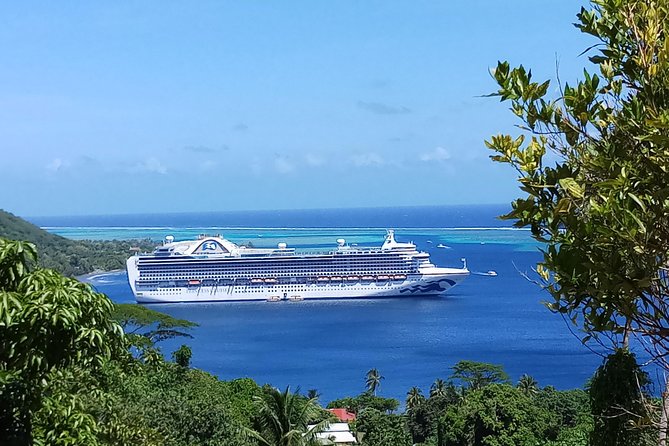 Blue Pearl Private Tour - The Belvedere Lookout gives you Moorea’s essential view