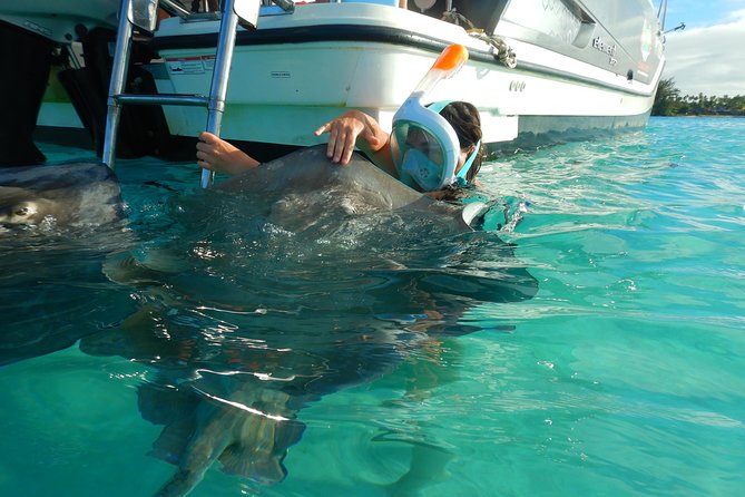 Boat tour 1/2 day Excursion in the lagoon of Moorea - Setting Out From Opunohu Bay
