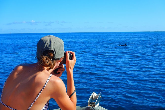 Boat tour 1/2 day Excursion in the lagoon of Moorea - Who Will Get the Most From This $121.46 Trip?