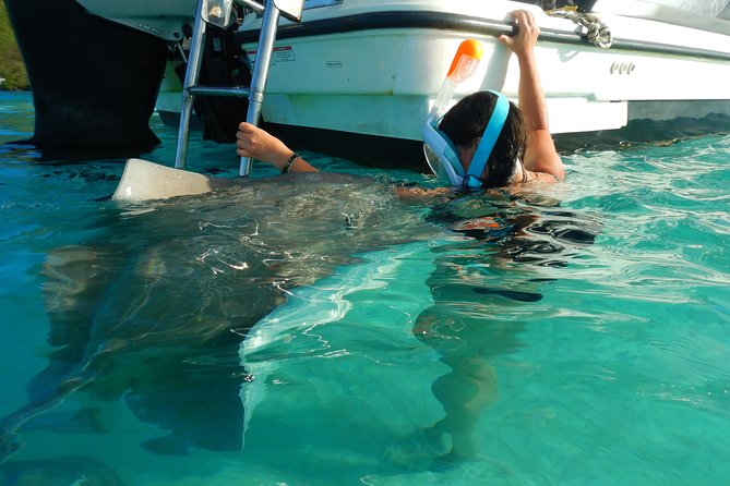 Boat tour 1/2 day Excursion in the lagoon of Moorea - Practical Tips for a Smoother Morning or Afternoon