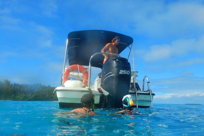 Boat tour 1/2 day Excursion in the lagoon of Moorea - Should You Book This Moorea Lagoon Tour?